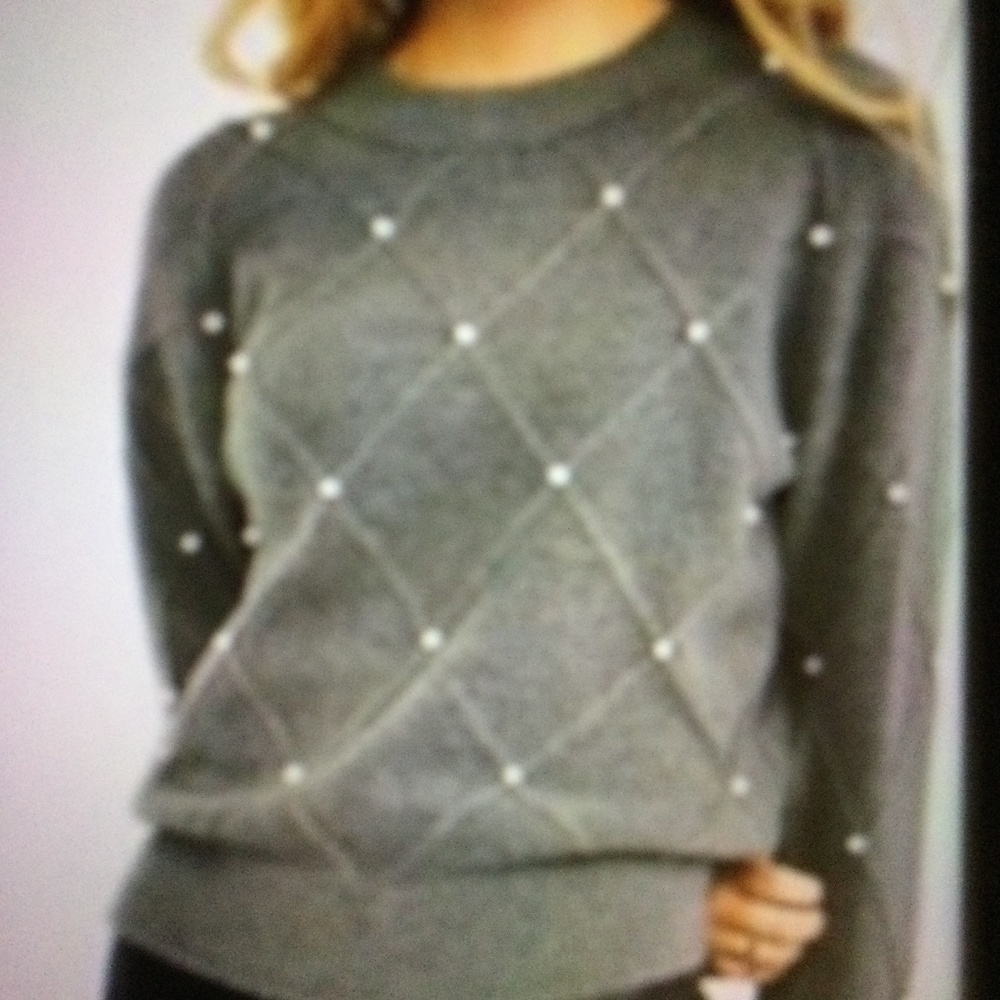 Ann Taylor Sweaters (2j XXL